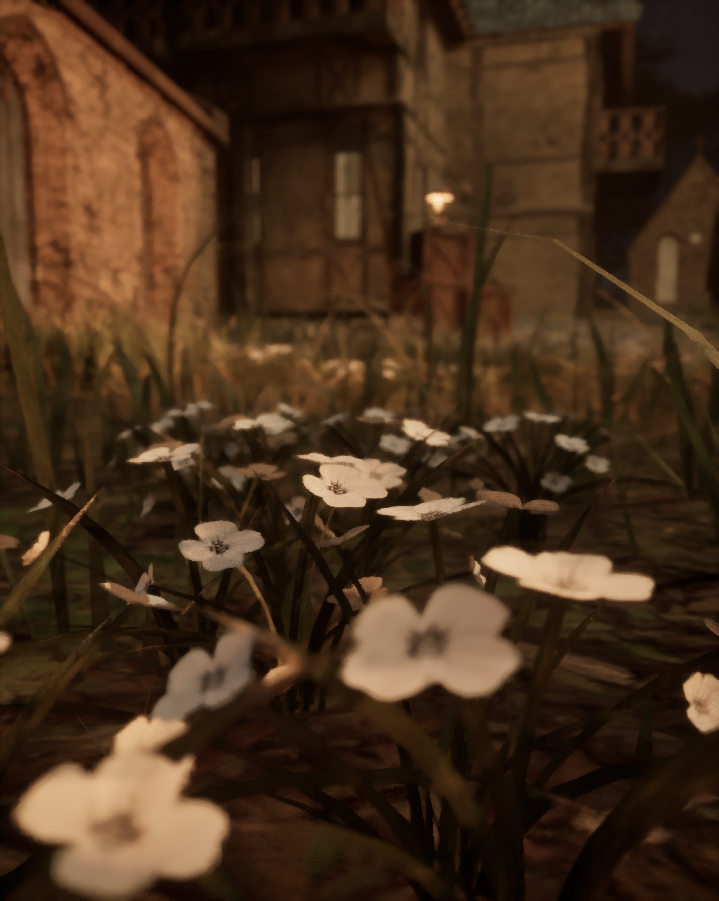 Environment Detail Shot 3
